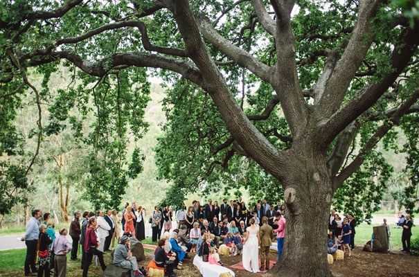 the-white-tress-collingwood-childrens-farm21