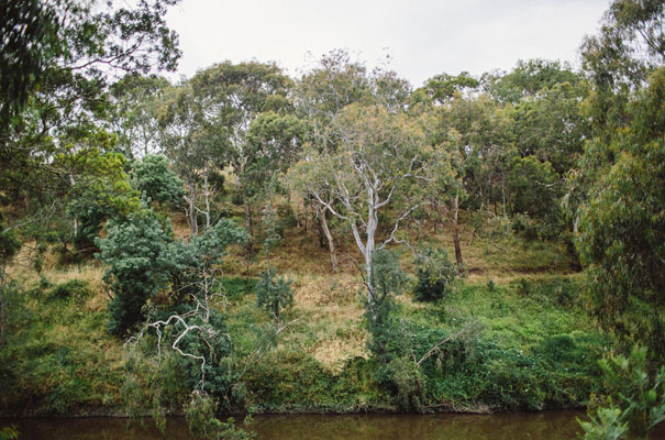 the-white-tress-collingwood-childrens-farm31