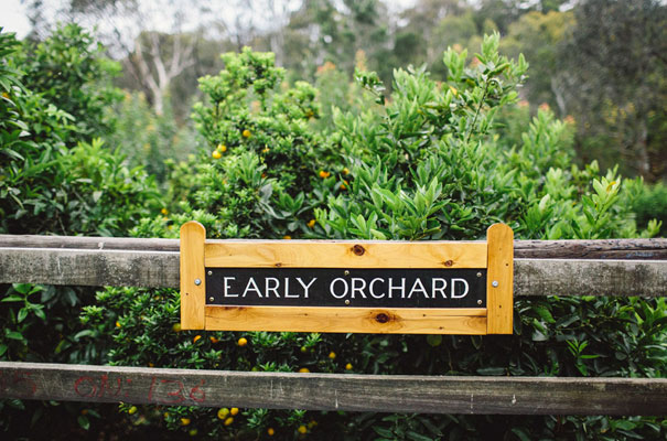 the-white-tress-collingwood-childrens-farm39