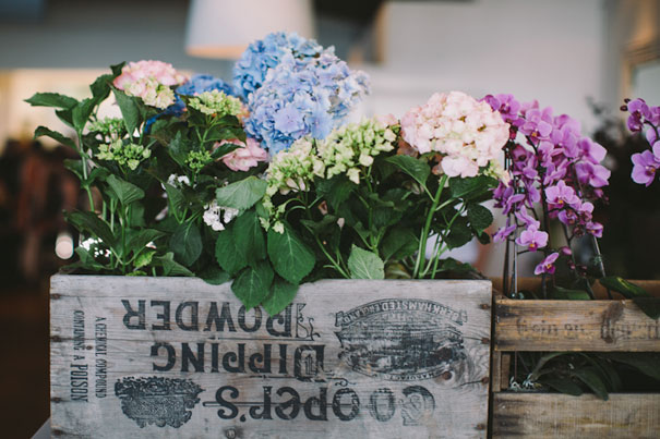 XarietDan-LaraHotz-284