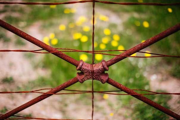 mel&alex_high-res_034