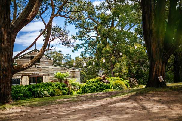 mel&alex_high-res_040