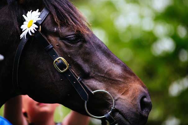 mel&alex_high-res_230