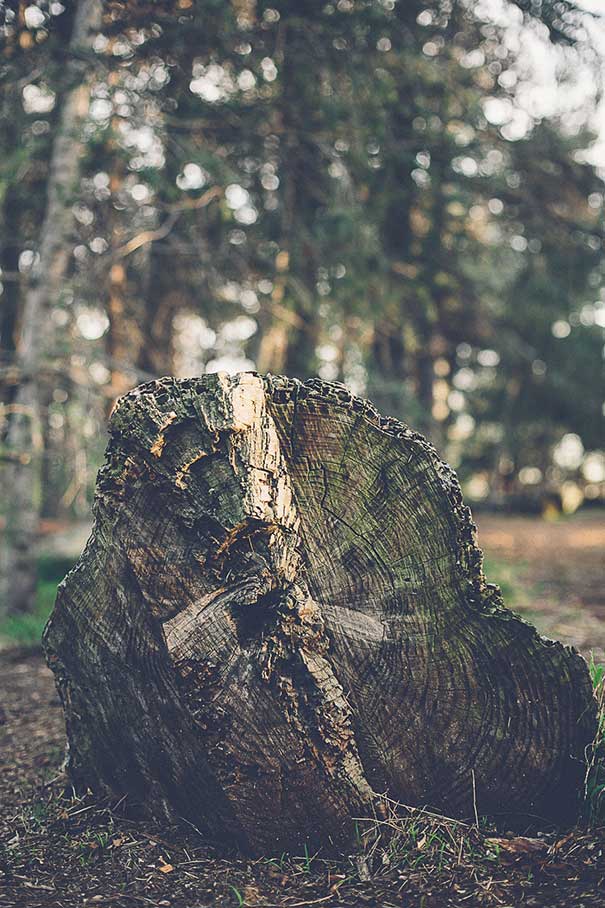 Gina-&-Ryan-Photography---019