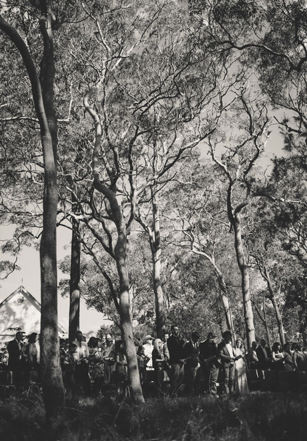 Mangrove-Mountain-central-coast-newcastle-photographer6