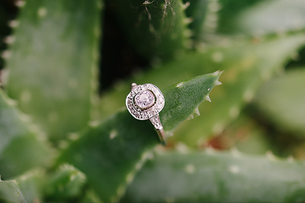 Scott-Surplice-10007