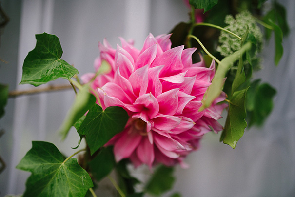 Scott-Surplice-10047