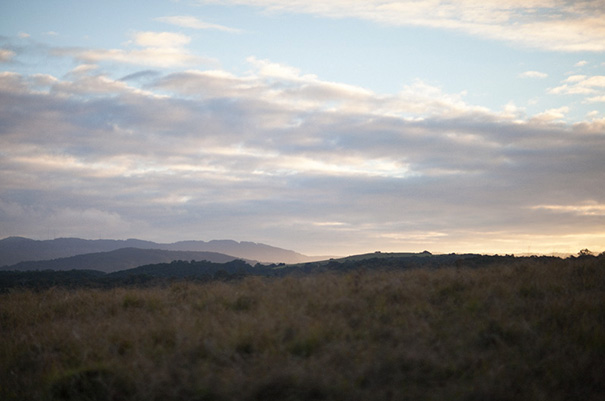 Screen-Shot-2014-06-05-at-4.32.05-pm