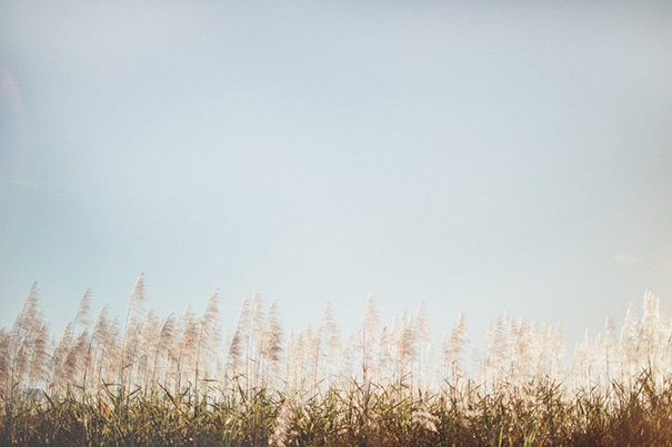 Screen-Shot-2014-06-05-at-4.32.12-pm