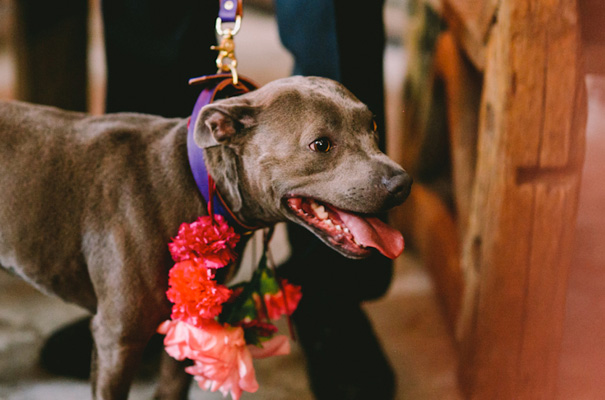 bright-rainbow-wedding-sydney-polo-club-lara-hotz-the-sisters22