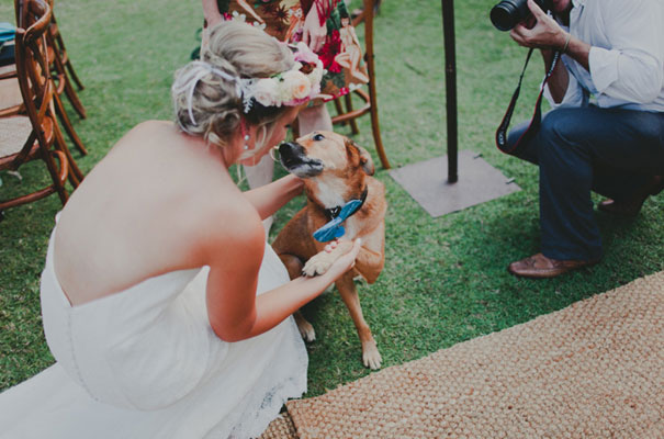 capriole-estate-queensland-wedding-photographer-luke-going30