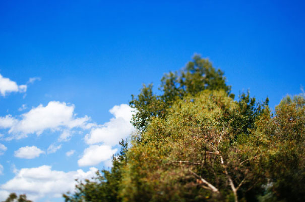 indian-wedding-hindu-ceremony-bright-beautiful-melbourne-wedding-photographer33