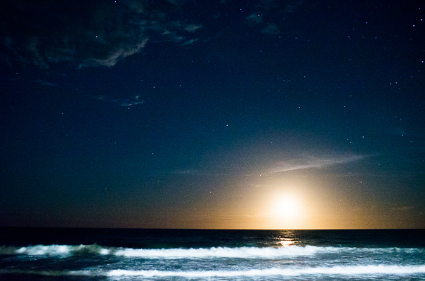 moby-dicks-whale-beach- wedding-sydney-venue31