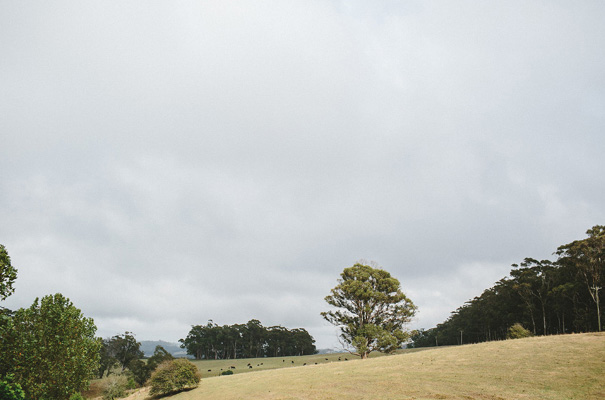 south-coast-wedding-photographer-country6