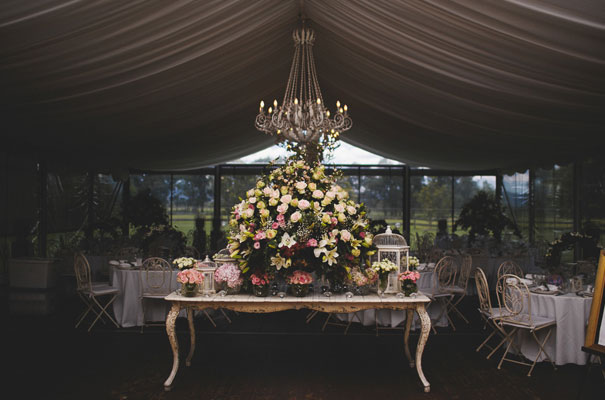 southern-highlands-wedding-reception-entertainment-alma-photography-Terrara5