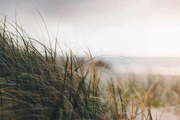 stories-by-ash-ella-callum-engaged-24