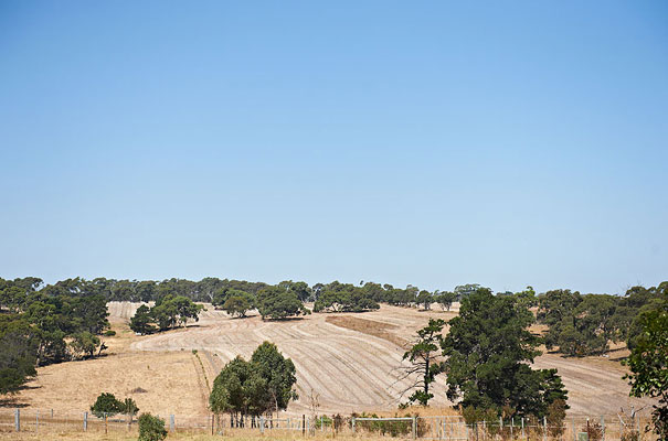victorian-country-wedding-geelong-melbourne-photographer-barn-Gwedolynne-dress16