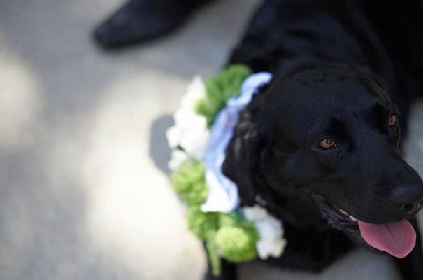 victorian-country-wedding-geelong-melbourne-photographer-barn-Gwedolynne-dress18