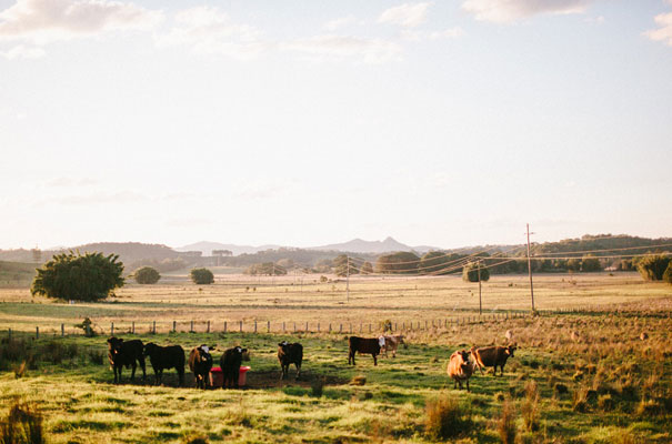 bo-and-luca-bridal-gown-elegant-country-wedding-inspiration35