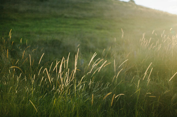 bo-and-luca-bridal-gown-elegant-country-wedding-inspiration36