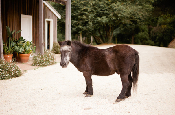 boho-wedding-DIY-great-ocean-road-wedding-joanna-mcdonald7