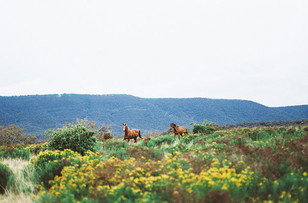 james-bennett-photography-ballarat-bush-country-australian-wedding40
