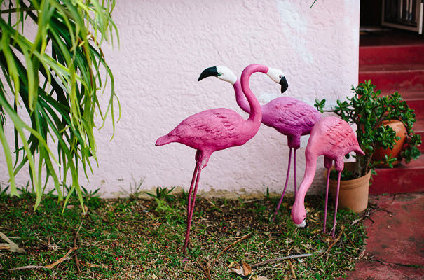 rock-n-roll-bride-short-skirt-wedding-dress2