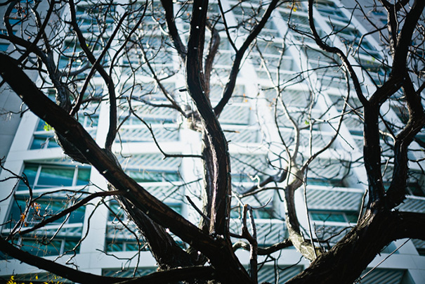 amber_grant_elleniToumpas_helloMayFeature__001