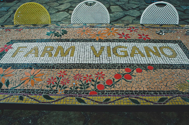 dan-oday-wedding-photographer-Farm-Vigano-gold-wedding-dress72