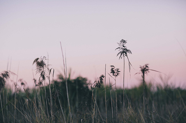 frankly-my-dear-etsy-bridal-accessories9