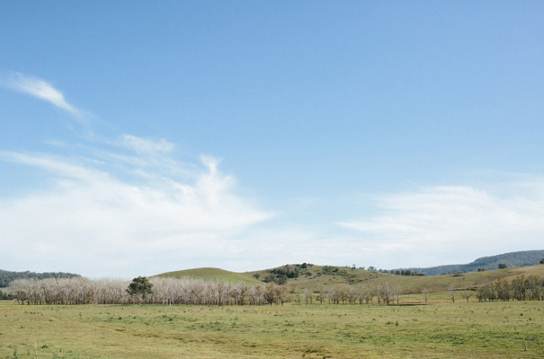 james-frost-red-roses-Mindaribba-House-wedding