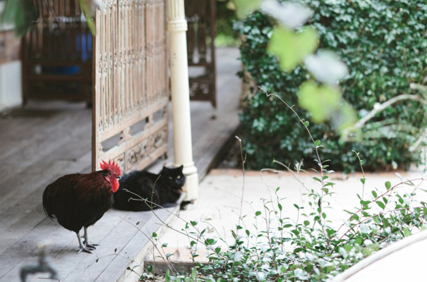 james-frost-red-roses-Mindaribba-House-wedding8