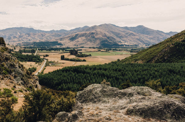 new-zealand-wedding-eric-ronald-photographer17