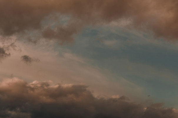 new-zealand-wedding-eric-ronald-photographer68