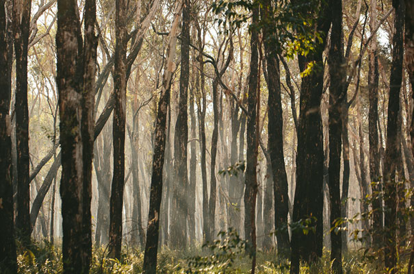 sam-clark-tattoo-gypsy-inspired-wedding-nossa