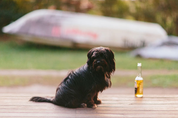 sam-clark-tattoo-gypsy-inspired-wedding-nossa2