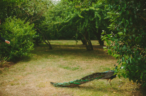 summerlees-south-coast-wedding-styling-ideas48