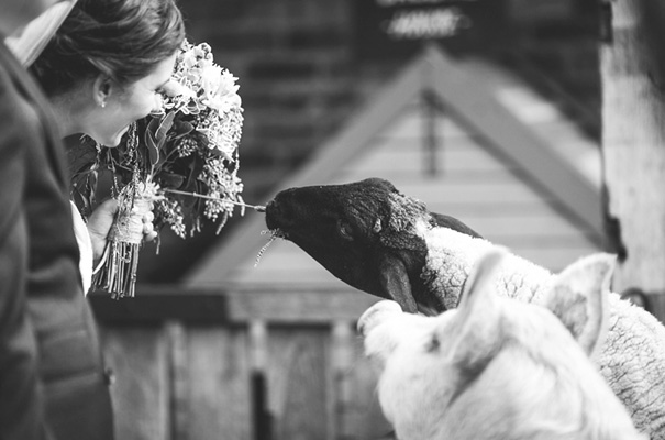 THe-grounds-of-alexandria-lara-hotz-wedding21