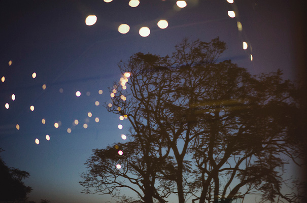 australiana-bush-yamba-north-coast-wedding-photographer-sarah-seven34