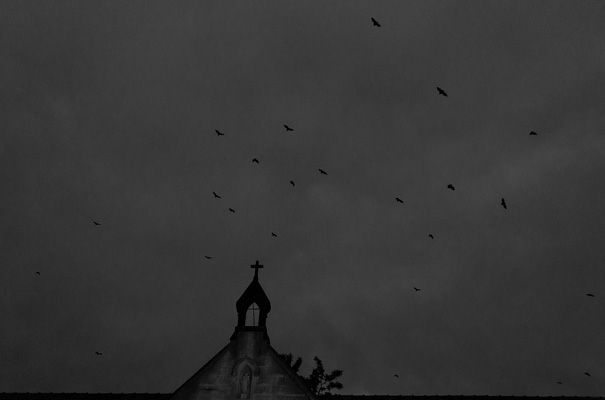 blush-bridal-gown-wedding-dress-sequin-elegant-romatic-melbourne-wedding-photographer63