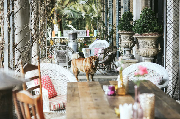 bridal-gown-pink-wedding-dress