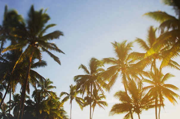 indian-fiji-weddingisland-destination