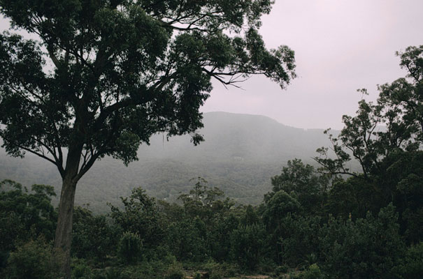 kangaroo-valley-wedding-australian-bride-bush-country