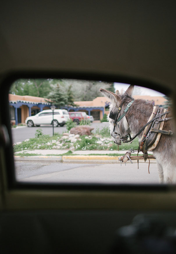 new-mexico-wedding-boho-bride3