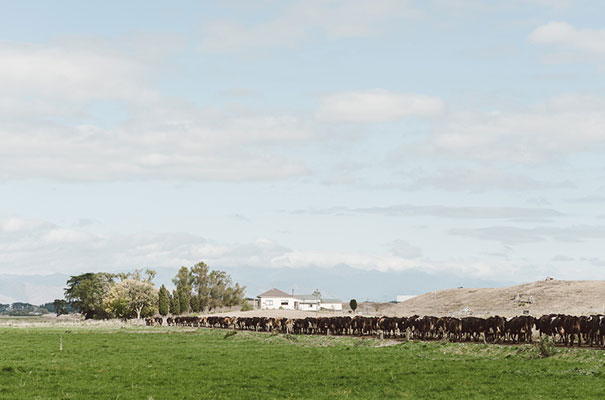 new-zealand-wedding-photographer-barn-boho-diy-bride17