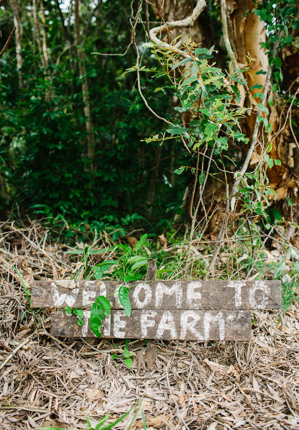 queensland-koala-bush-australiana-kitsch-retor-bride-wedding