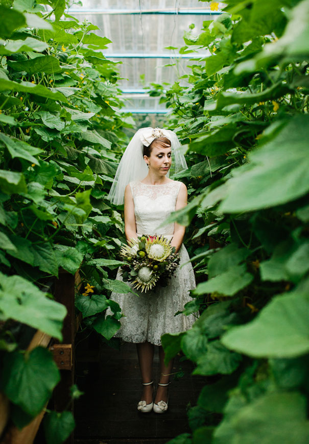 queensland-koala-bush-australiana-kitsch-retor-bride-wedding14