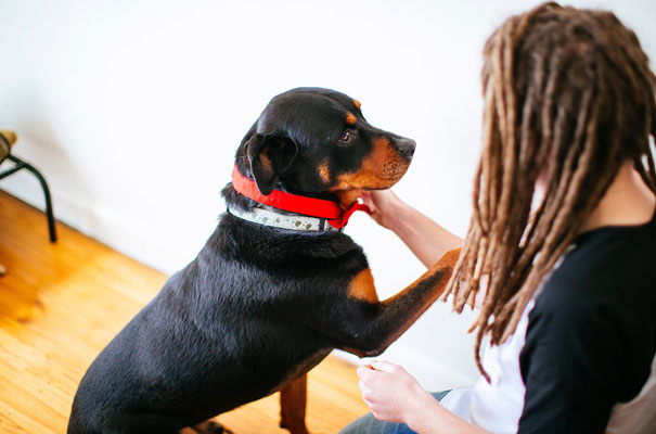 retro-rock-n-roll-bride-melbourne-wedding-vintage-dress13