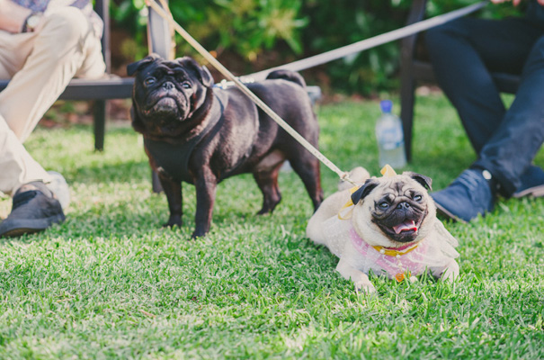 rock-n-roll-retro-vintage-bride-bright-backyard-wedding10