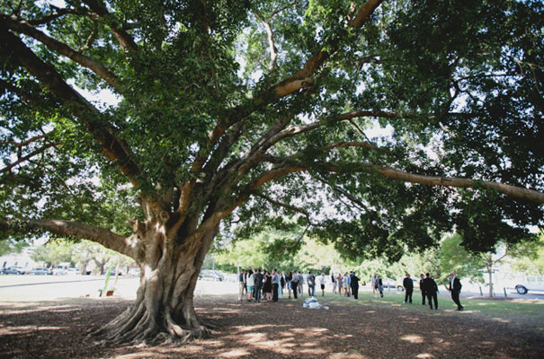 brisbane-wedding-luke-going-photography2